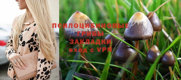 дурь Абинск